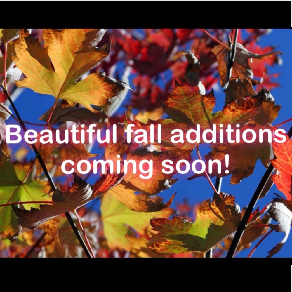 Great pieces to freshen up your fall wardrobe!